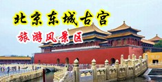 无码操逼性视频中国北京-东城古宫旅游风景区